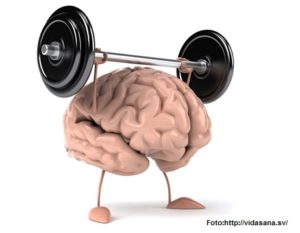 Nuestro cerebro también necesita hacer ejercicio. FeelSaludable Feeldeporte