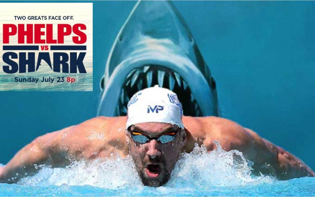 Michael Phelps vs Tiburón Blanco: El desafío jamás visto