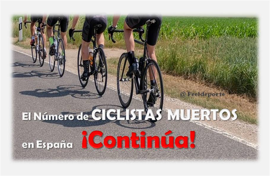 Continúa el Alarmante Número de Ciclistas Muertos en España, número de ciclistas muertos numero de ciclistas muertos en España ciclistas muertos en España ciclistas muertos muerte de ciclistas ponle freno ciclistas